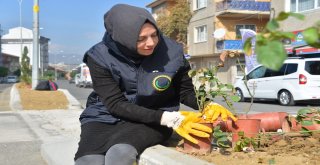 Refüjler Renklendiriliyor