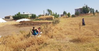 Kanalizasyon Suyu Tehlike Saçıyor