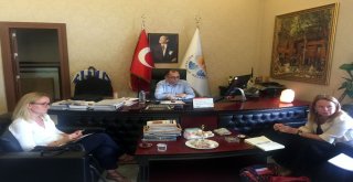 Adana Büyükşehir Belediyesi İle Bm Göçmen Kadınlar İçin Proje İşbirliği Başlattı