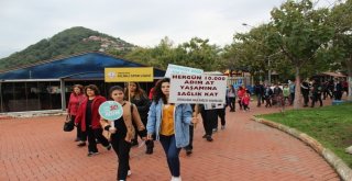 Dünya Yürüyüş Gününde Yürüdüler