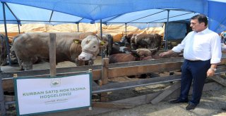 Başkan Dündar Kurban Pazarını Gezdi