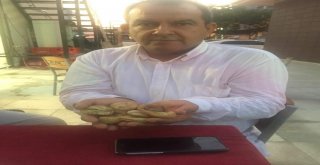 İncir Doktoru Ahmet Erden Sezon Değerlendirmesi