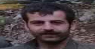 Pkknın Sözde Karadeniz Lideri ‘Türk Tarık Etkisiz Hale Getirildi