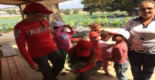 Akut Yardım Malzemelerini İhtiyaç Sahiplerine Ulaştırdı