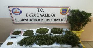 Düzcede Jandarmadan Uyuşturucu Operasyonu