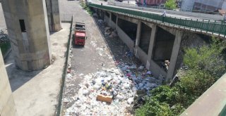 Şehrin Göbeğinde Biriken Çöpler Hem Mikrop Saçıyor, Hem De Hastalıklara Davetiye Çıkartıyor