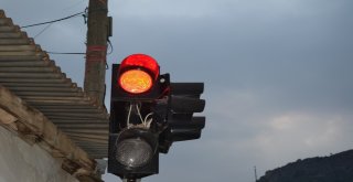 Bu Kumrunun Yuvası Güvenli Yerde