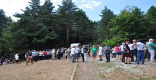 Protesto İçin Gittiler Piknik Yaptılar