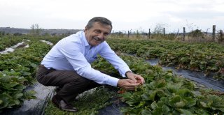 Başkan Ataç, Üreticilerle Buluştu