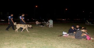 Aracın Arkasına Bağlayıp Sürüklenen Köpek Turizm Zabıtası Oldu