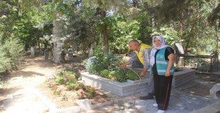 Birecikte Mezarlığa Kadın Eli Değdi