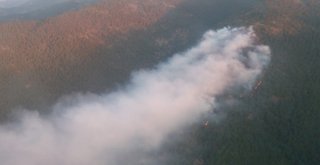 Hatayda Orman Yangını