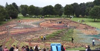 Meksikada Usta Zanaatkarlardan Devasa Organik Halı