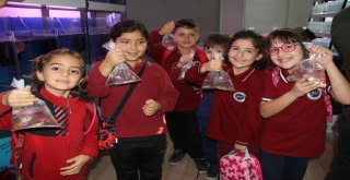 Petzoo Ankara Fuarı 2İnci Kez Kapılarını Açtı