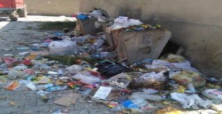 Tavşanlının Göbel Köyünde Çöp Rezaleti