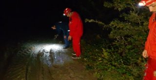 Ormanda Kaybolmuştu, Şehirde Görüldü