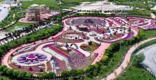 Renklerin Buluştuğu Selçuklu Çiçek Bahçesi Ziyaretçilerin İlgi Odağı Oldu