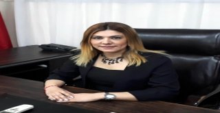 Kimyasal Katkılı Kırtasiye Malzemeleri Çocukların Sağlığını Tehdit Ediyor