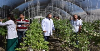 Niğde Patates Araştırma Enstitüsü Arı Gibi Çalışıyor