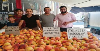 Mezitlide Şeftali Seferberliği Başladı