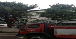 Ayağına İp Dolanan Kuşu İtfaiye Kurtardı