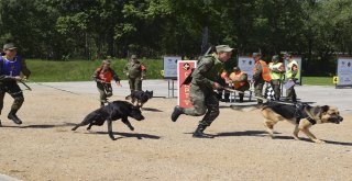 Türk Kinoloji Uzmanları Moskovada Yarışmaya Katıldı