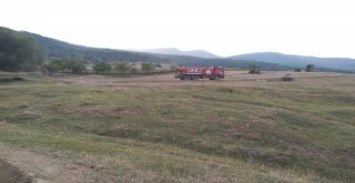 Anız Yangını Ormana Sıçradı