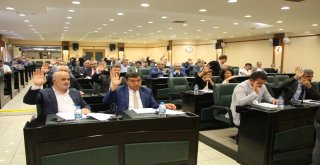 Vezirköprüye Hidroelektrik, Bafraya İse Güneş Enerjisi Santrali