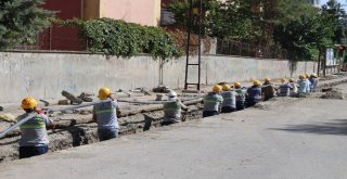 Dicle Elektrik, Fatih Mahallesinin Çehresini Güzelleştiriyor