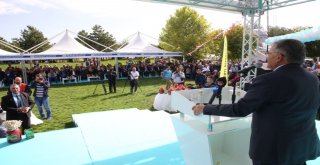 Gilaburu Ve Ceviz Festivaline Büyük İlgi Gösterildi