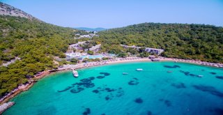 Uluslararası Arena Aquamasters Yüzme Şampiyonası 27 Eylülde Başlıyor