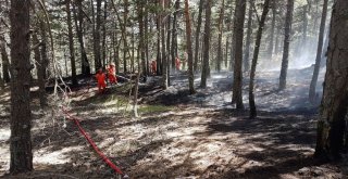 Tabiat Parkındaki Yangın Korkuttu