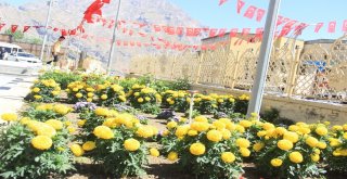 Sümbül Dağı Gölgesinde Bir Renk Cümbüşü