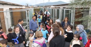 Hayvanseverler Barınağı Gezdi