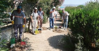 Alaşehirde Cadde Ve Sokaklar Temizleniyor