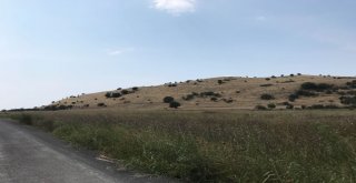 Myrina Ve Gryneionda Yüzey Araştırmalarına Başlandı