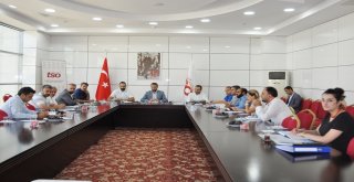 İş Dünyasının Nitelikli Eleman Sorunu Megiple Çözülecek