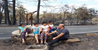 Antalyalı Çiftçiden Tarım Bakanına ‘Yangın‘ Mektubu