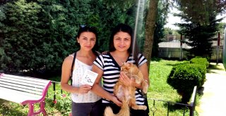 Tedavi Edilen Sarman Sahiplendirildi