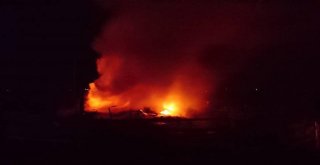 Boluda Odunluk Yangınında Kümes Hayvanları Telef Oldu