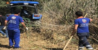 Sedanuru Arama Çalışmaları Sazlıkta Yoğunlaştı