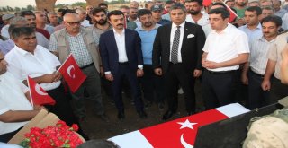 Şehit Binbaşı Arslan Kulaksız Malazgirtte Anıldı