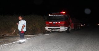 Ayvalıkta Zeytinlik Yangını