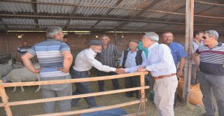 Başkan Acar Kurban Pazarını Ziyaret Etti