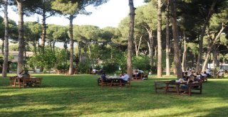 Çerçioğlu: “Vatandaşımız İstedi, Biz De Yapacağız”