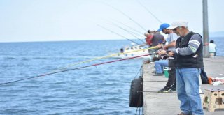 Amatör Balıkçıların Bereketli Balık Avı