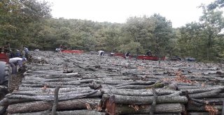 Köylüler Kış Hazırlıklarına Başladı