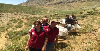 Terörün Yerini Huzura Bırakması İle Dağlar Ve Yaylalar Şenlendi