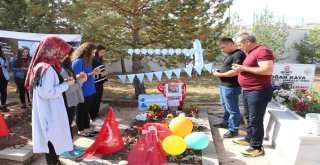 Şehit Bedirhan Bebeğin Mezarına Ziyaretçi Akını