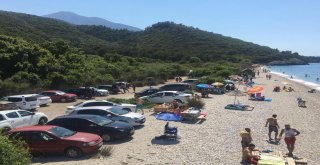 Milli Parka Ziyaretçi Akını